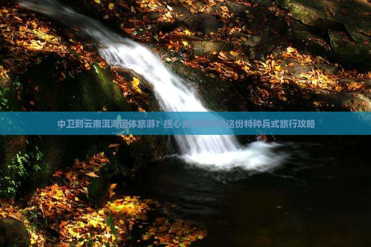 中卫到云南洱海团体旅游？担心费用缚快看这份特种兵式旅行攻略