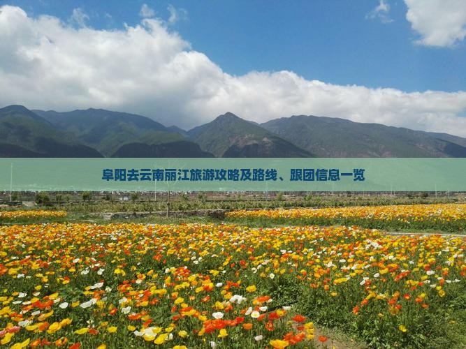 阜阳去云南丽江旅游攻略及路线、跟团信息一览