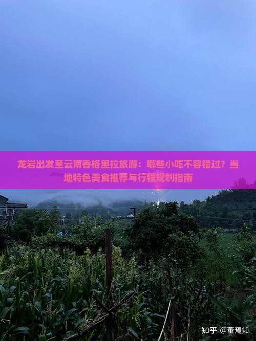 龙岩出发至云南香格里拉旅游：哪些小吃不容错过？当地特色美食推荐与行程规划指南
