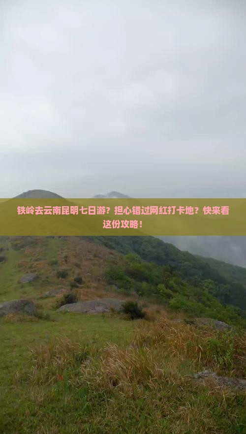 铁岭去云南昆明七日游？担心错过网红打卡地？快来看这份攻略！