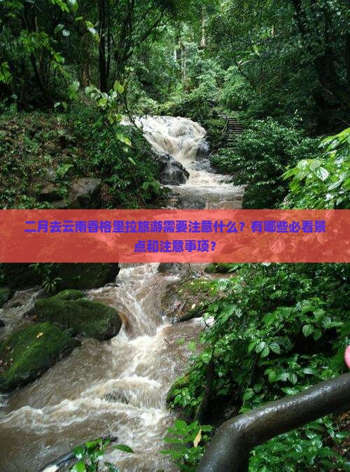 二月去云南香格里拉旅游需要注意什么？有哪些必看景点和注意事项？