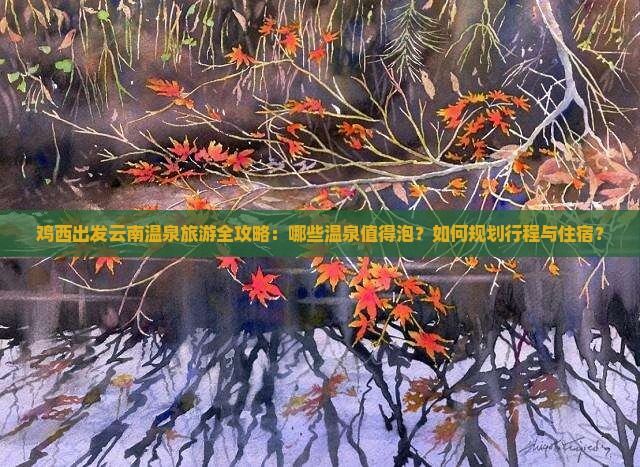 鸡西出发云南温泉旅游全攻略：哪些温泉值得泡？如何规划行程与住宿？