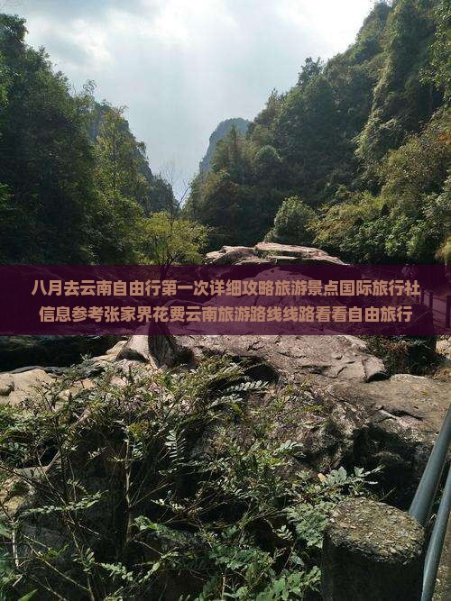 八月去云南自由行第一次详细攻略旅游景点国际旅行社信息参考张家界花费云南旅游路线线路看看自由旅行