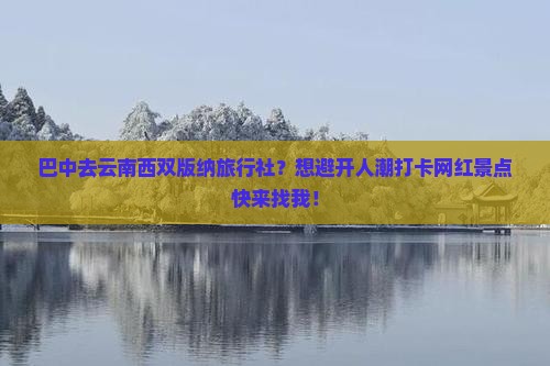 巴中去云南西双版纳旅行社？想避开人潮打卡网红景点快来找我！
