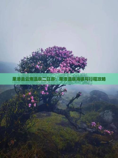 果洛去云南温泉二日游：果洛温泉海拔与行程攻略