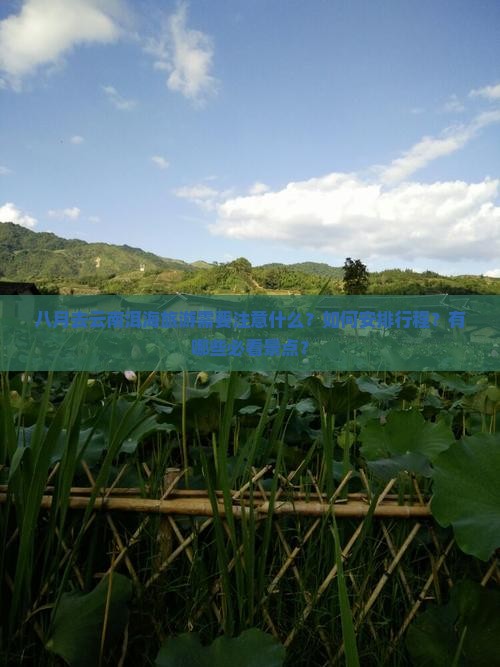 八月去云南洱海旅游需要注意什么？如何安排行程？有哪些必看景点？