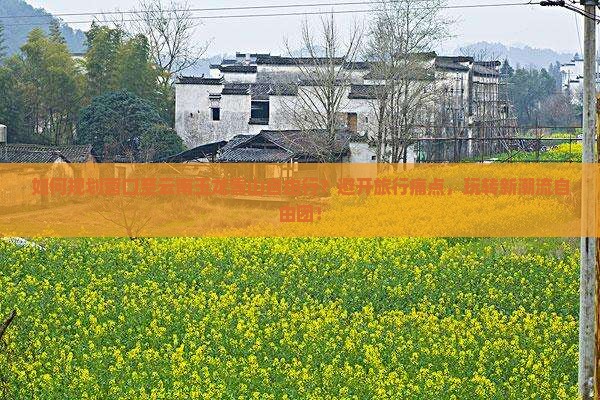 如何规划营口至云南玉龙雪山自由行？避开旅行痛点，玩转新潮流自由团！