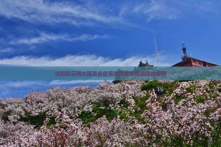 沈阳到云南大理景点自驾游攻略及旅游路线指南
