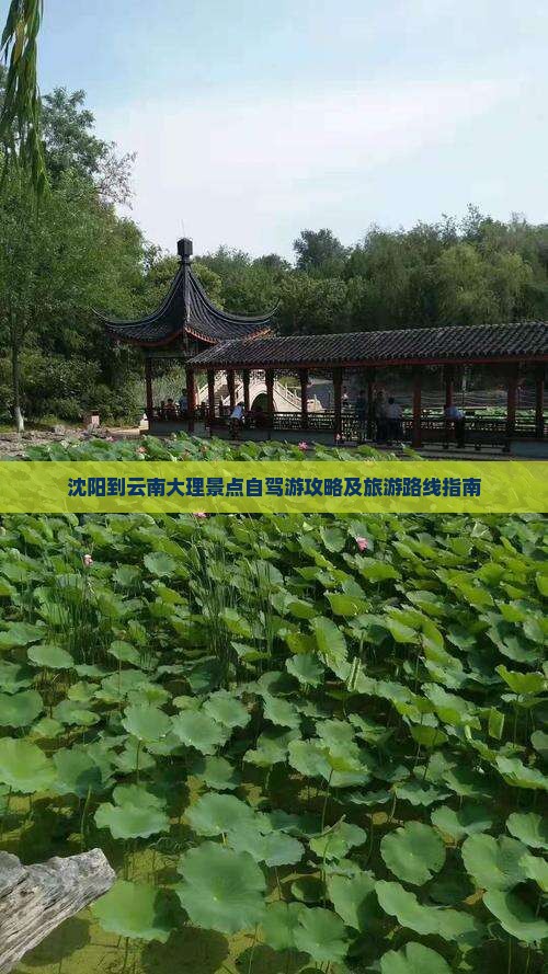 沈阳到云南大理景点自驾游攻略及旅游路线指南