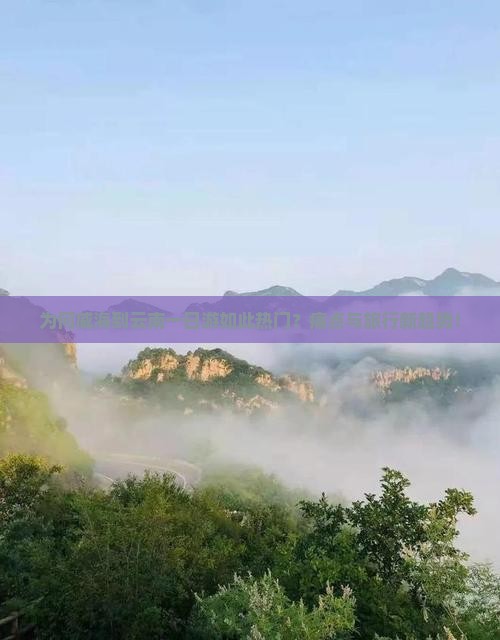 为何威海到云南一日游如此热门？痛点与旅行新趋势！