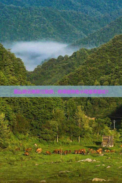 眉山到云南丽江旅游，有哪些特色小吃值得尝试？