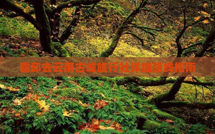 霍邱去云南古城旅行社详细路线指南 霍邱去云南古城旅行社详细路线指南
