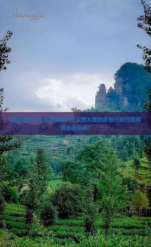 如何规划从五家渠出发前往云南大理的自由行旅行路线及必去景点？