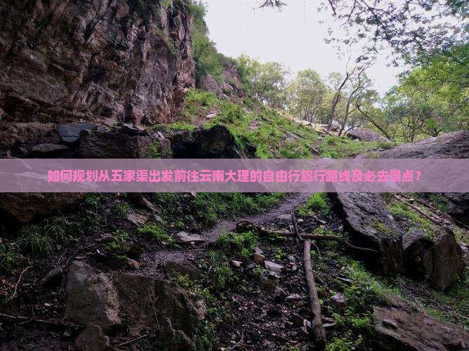 如何规划从五家渠出发前往云南大理的自由行旅行路线及必去景点？