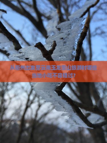 从衢州出发至云南玉龙雪山旅游时哪些当地小吃不容错过？