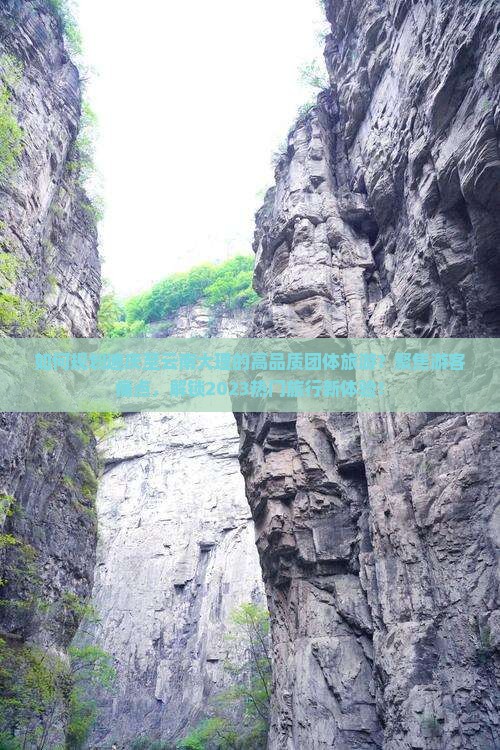 如何规划迪庆至云南大理的高品质团体旅游？聚焦游客痛点，解锁2023热门旅行新体验！