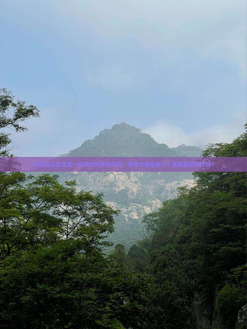 诸城去云南洱海一日游如何安排行程？费用大概是多少？需要提前预订吗？