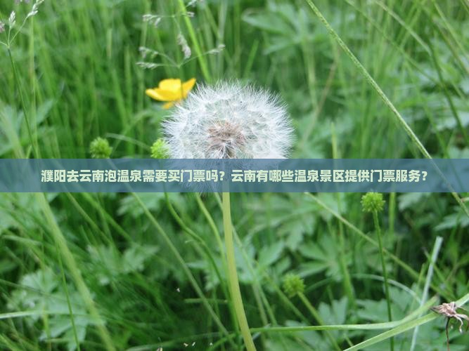 濮阳去云南泡温泉需要买门票吗？云南有哪些温泉景区提供门票服务？