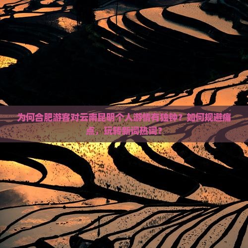 为何合肥游客对云南昆明个人游情有独钟？如何规避痛点，玩转新词热词？