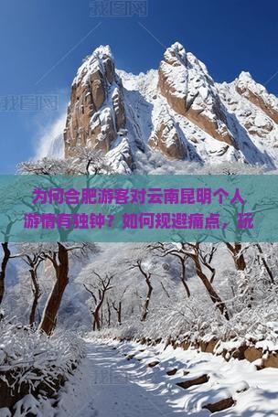 为何合肥游客对云南昆明个人游情有独钟？如何规避痛点，玩转新词热词？