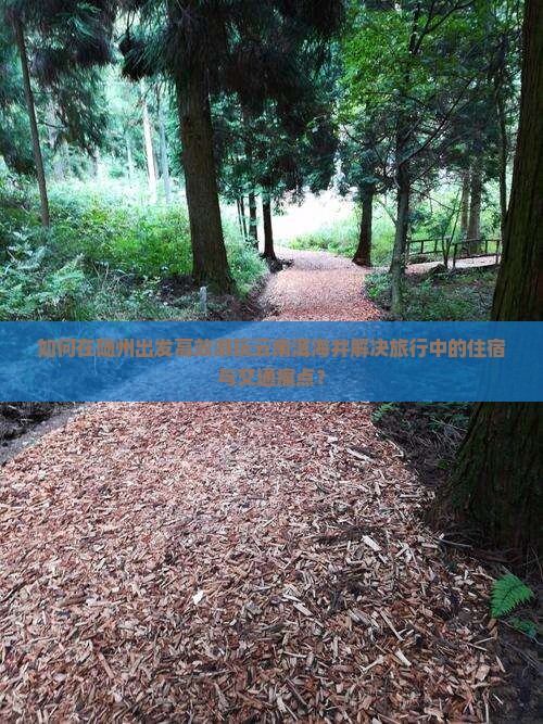 如何在随州出发高效游玩云南洱海并解决旅行中的住宿与交通痛点？