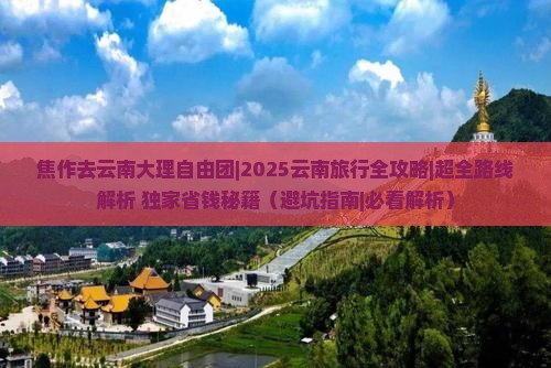 焦作去云南大理自由团