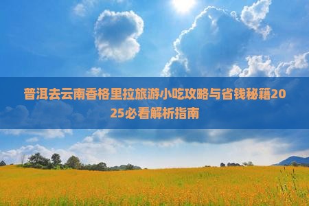 普洱去云南香格里拉旅游小吃