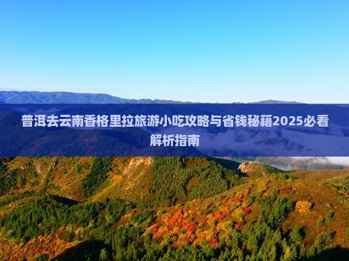 普洱去云南香格里拉旅游小吃