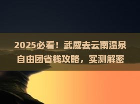 武威去云南温泉自由团