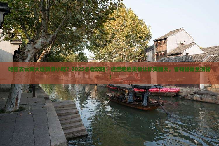 哈密去云南大理旅游小吃 哈密去云南大理旅游小吃