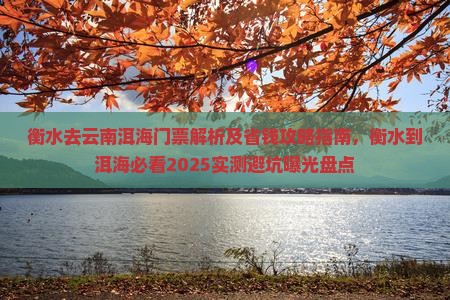 衡水去云南洱海门票