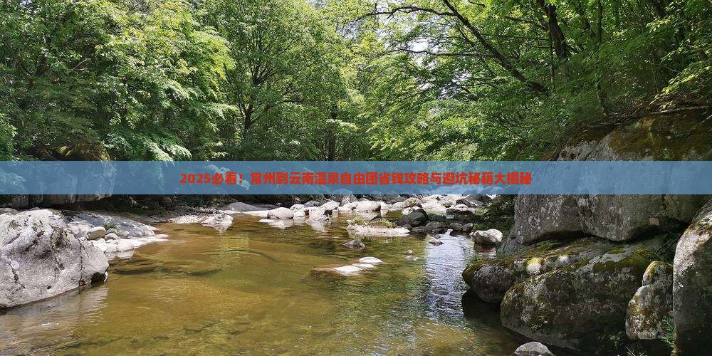 常州到云南温泉自由团