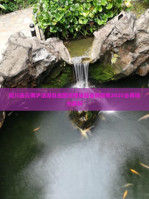 铜川去云南泸沽湖自由团
