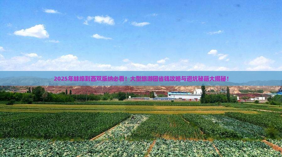 蚌埠到云南西双版纳大型旅游团