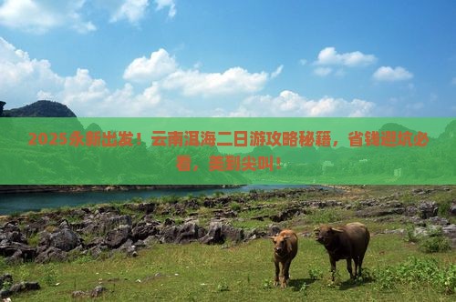 永新到云南洱海二日游
