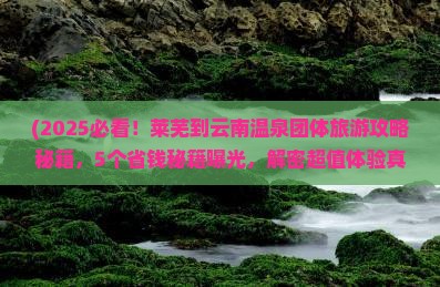 莱芜到云南温泉团体旅游