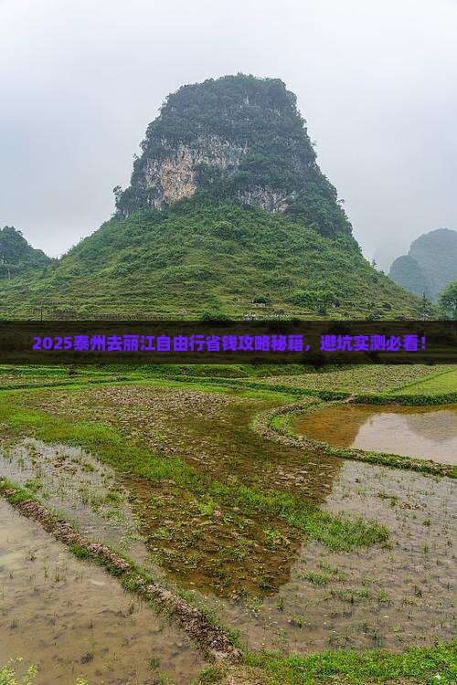 泰州去云南丽江自由行