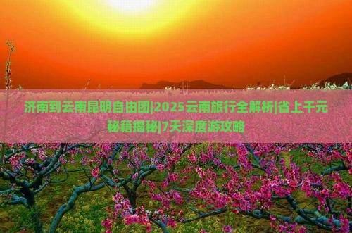 济南到云南昆明自由团