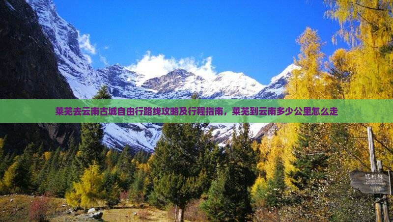 莱芜去云南古城自由行