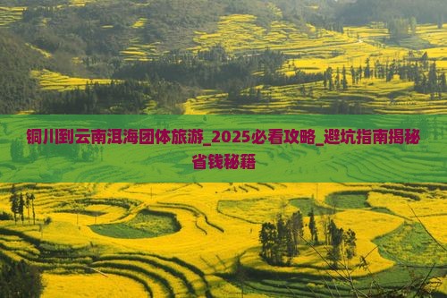 铜川到云南洱海团体旅游