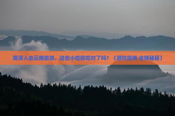 鹰潭去云南旅游小吃