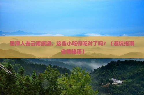 鹰潭去云南旅游小吃