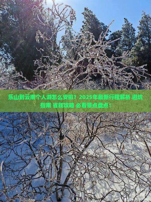 乐山到云南个人游