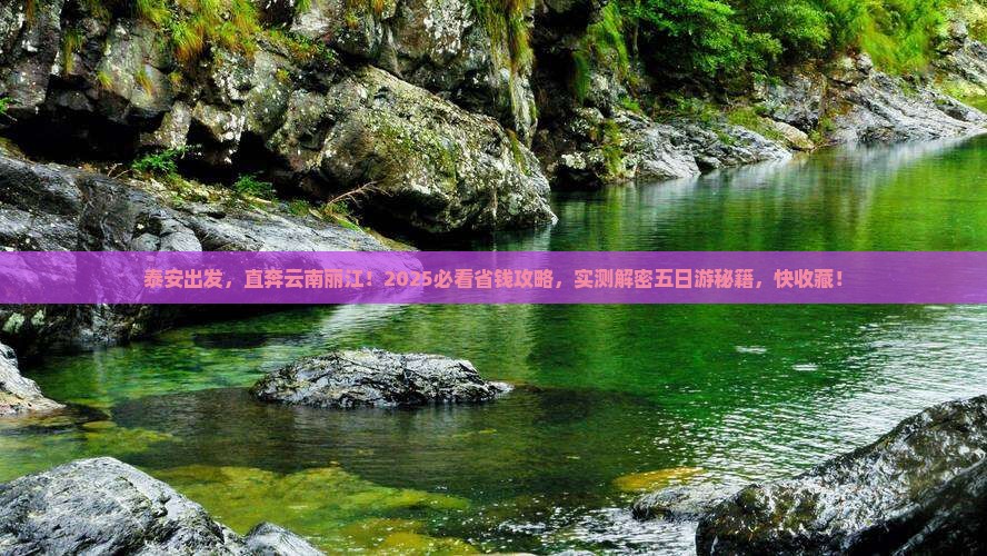泰安到云南丽江五日游