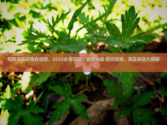 阿克苏去云南自由团