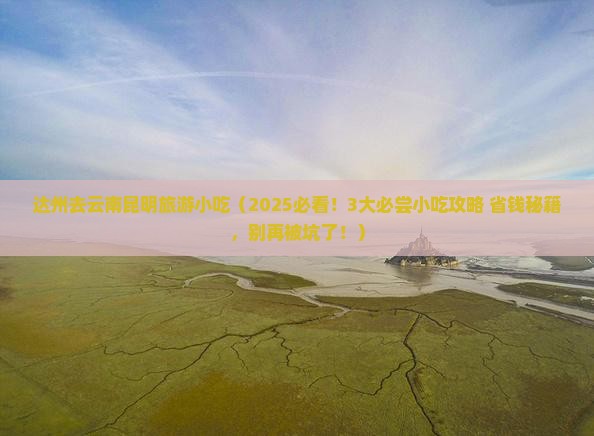 达州去云南昆明旅游小吃