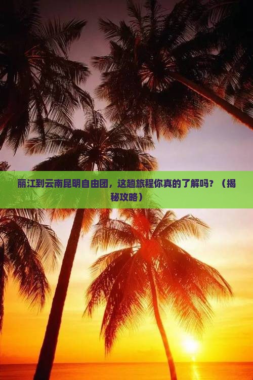 丽江到云南昆明自由团