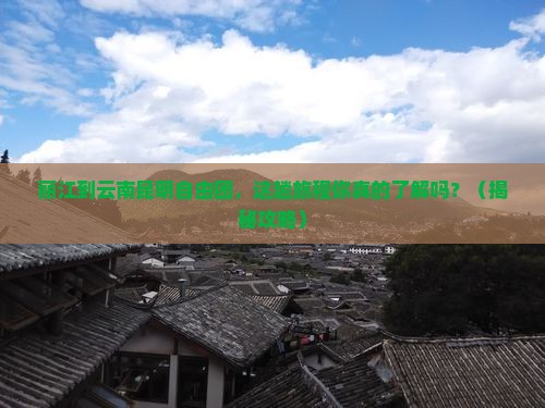 丽江到云南昆明自由团