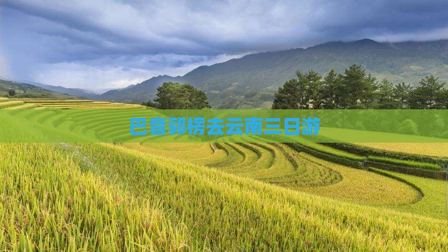 巴音郭楞去云南三日游