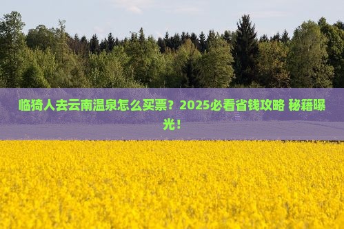 临猗去云南温泉门票